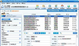 數(shù)字化浪潮下的精準觸達 企業(yè)網(wǎng)絡(luò)營銷軟件與計算設(shè)備的多維市場解析